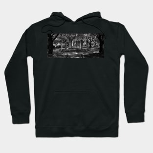 Himeji Castle Park Stone Octagon, Japan Hoodie